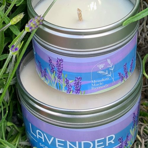 Lavender - obrazek 4