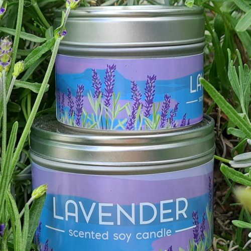 Lavender - obrazek 3